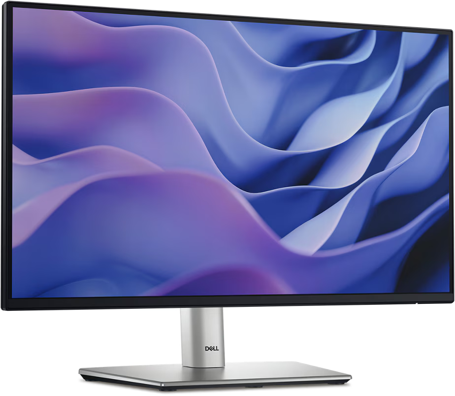 Dell - 22'' HD (1920 × 1080) | 100Hz, 5ms
