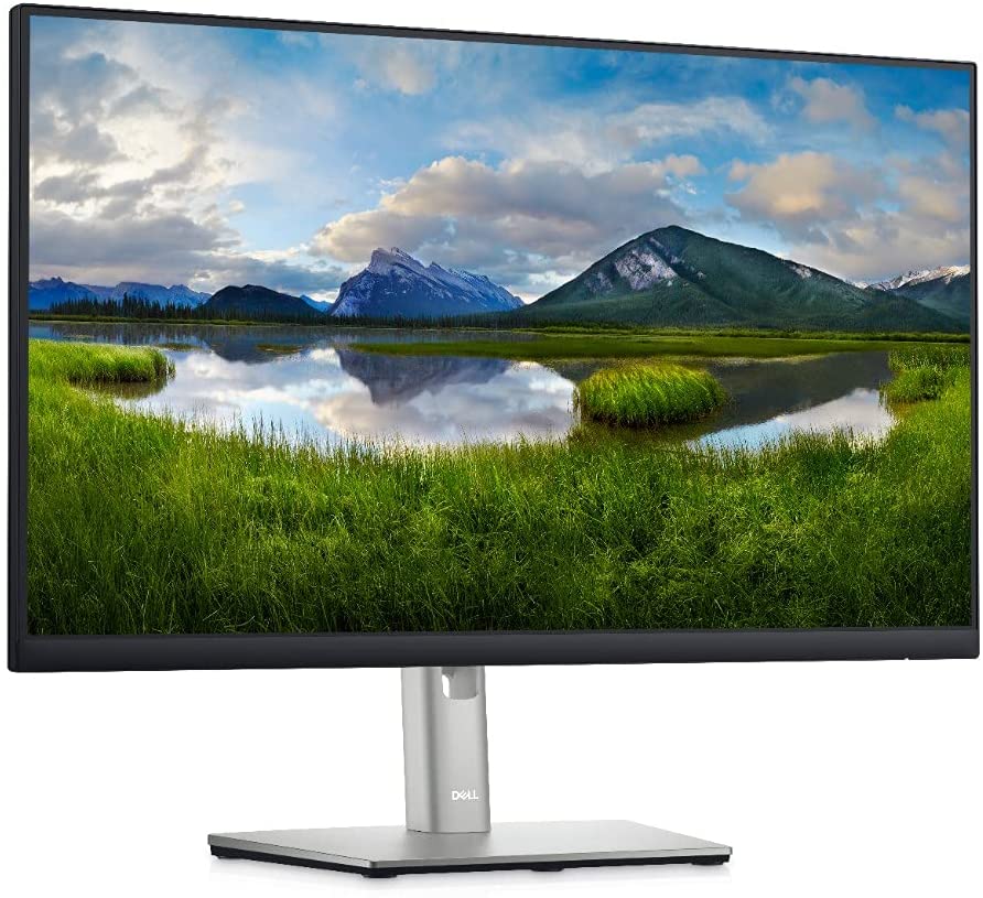 Dell 24'' Monitor - P2422H - Full HD 1080p, IPS Technology, Comfortview Plus Technology