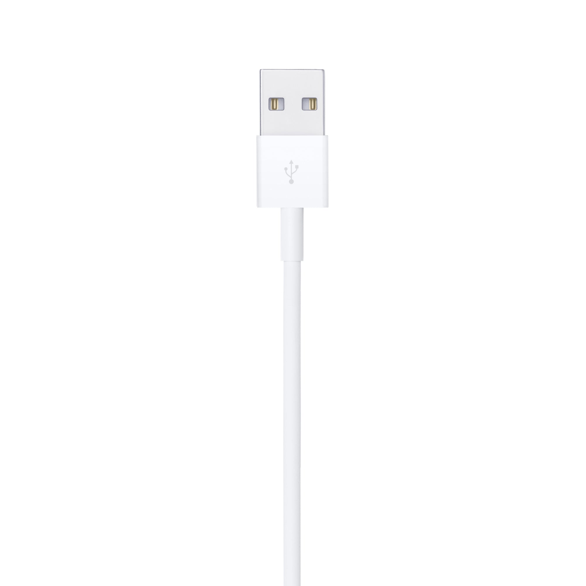 Apple Lightning to USB Cable (1 m)