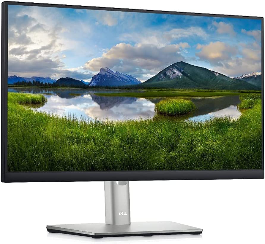 Dell 22 Monitor - P2222H - Full HD 1080p, IPS Technology